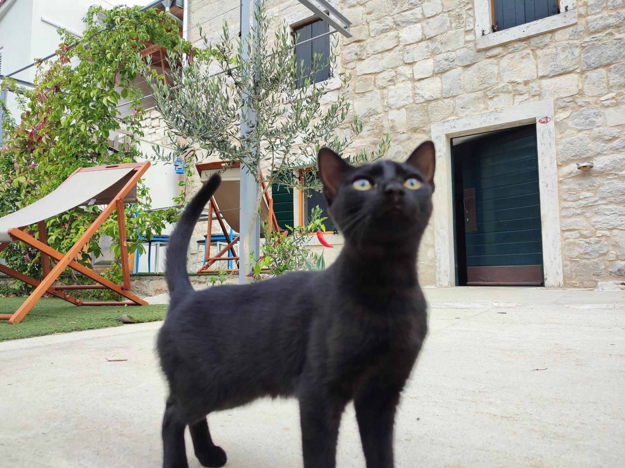 Apartmani Peljesac Sova Сресер Екстериор снимка
